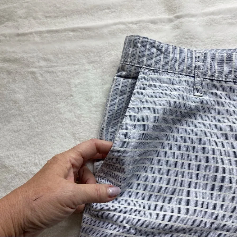 Modern Amusement Striped Flat Front Shorts Size 34